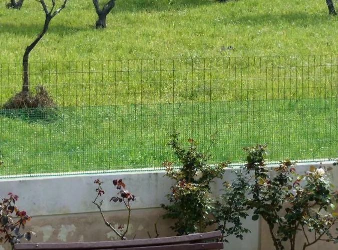 Nikitas & Loft Daire