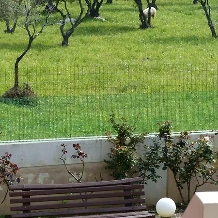 Nikitas & Loft Apartman